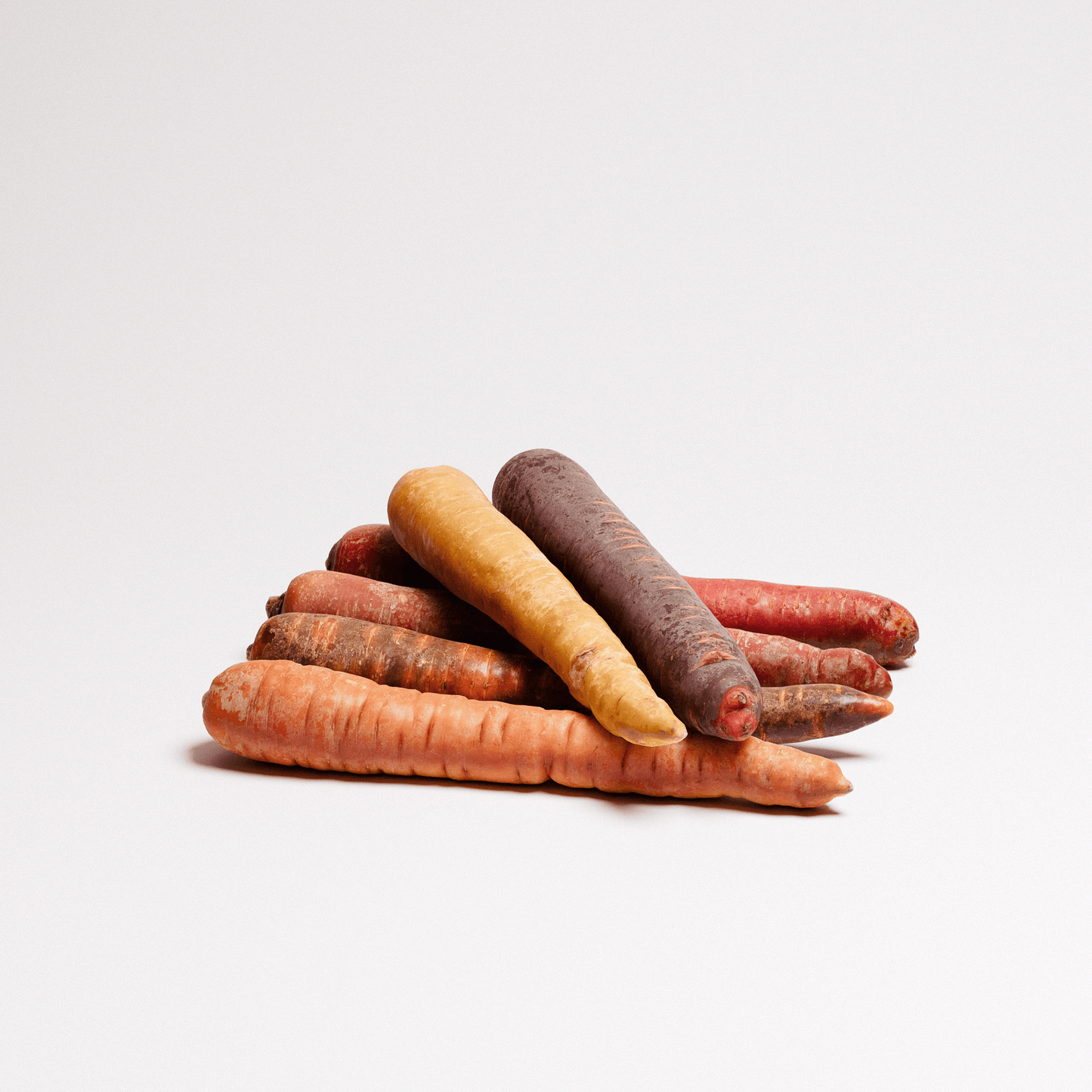 Carrots Set 01