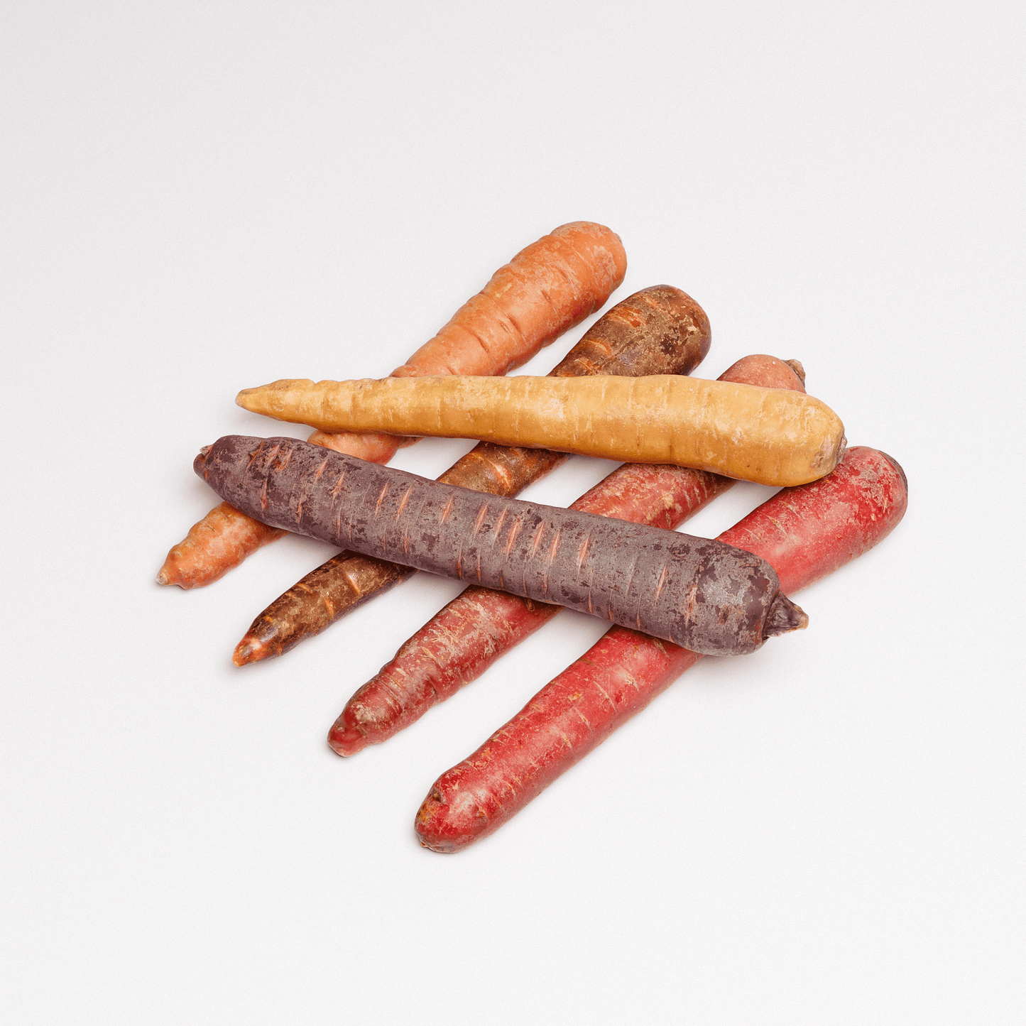 Carrots Set 01