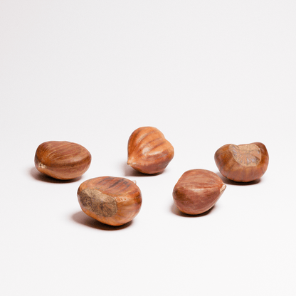 Chestnuts Set 01