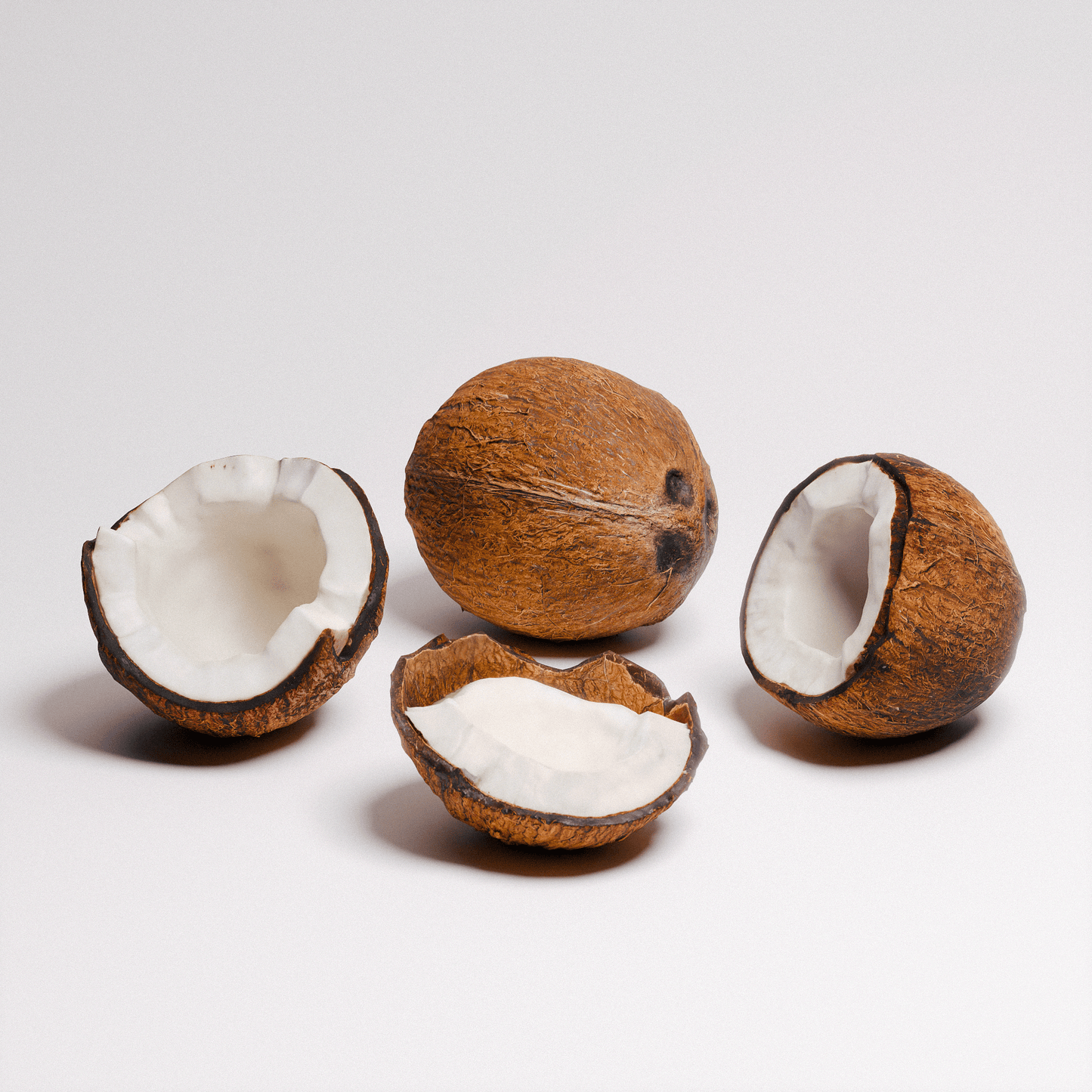 Coconut Set 01