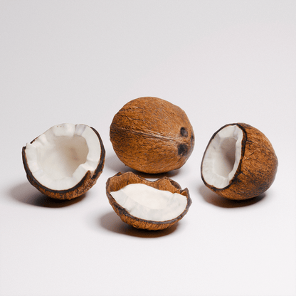 Coconut Set 01