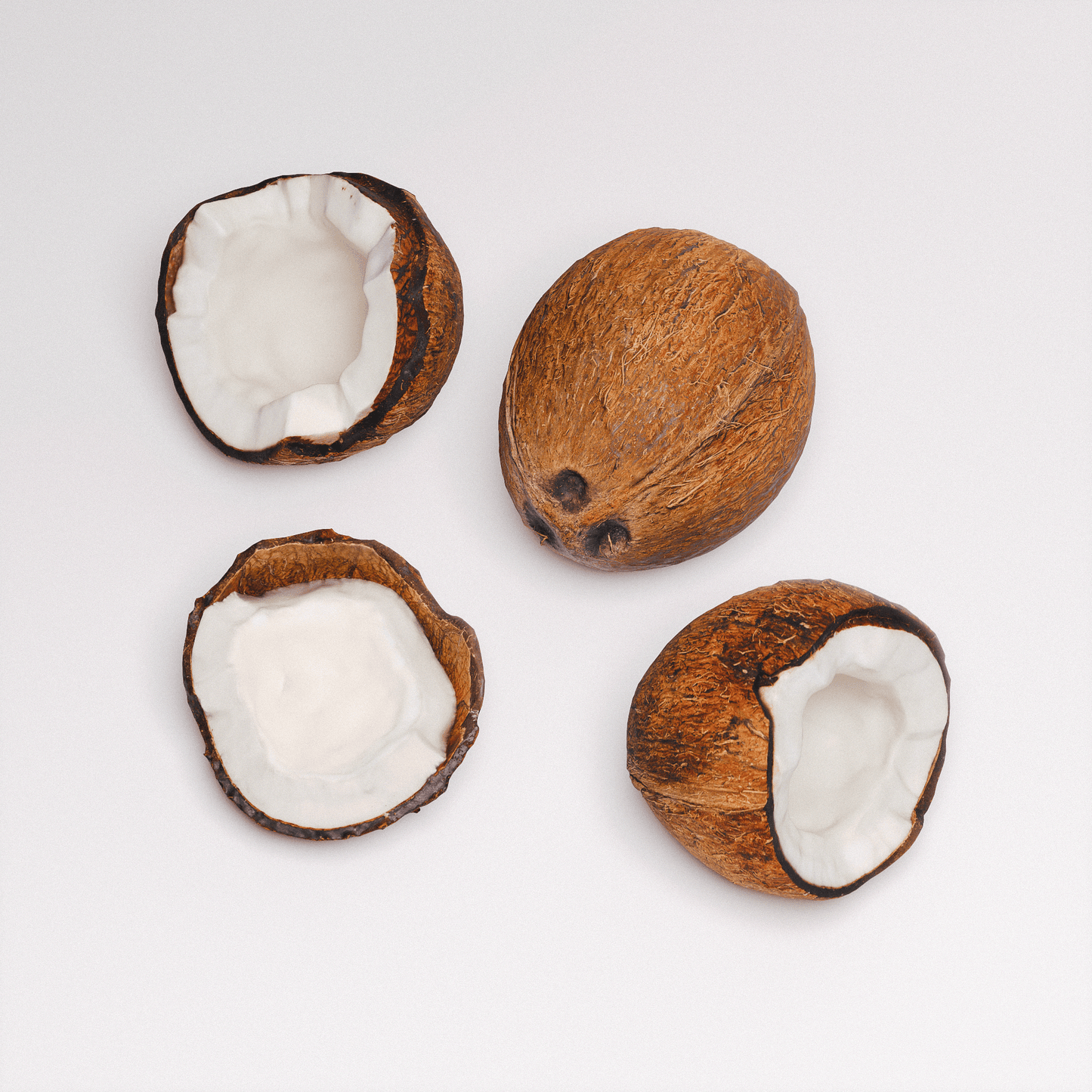 Coconut Set 01