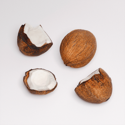 Coconut Set 01