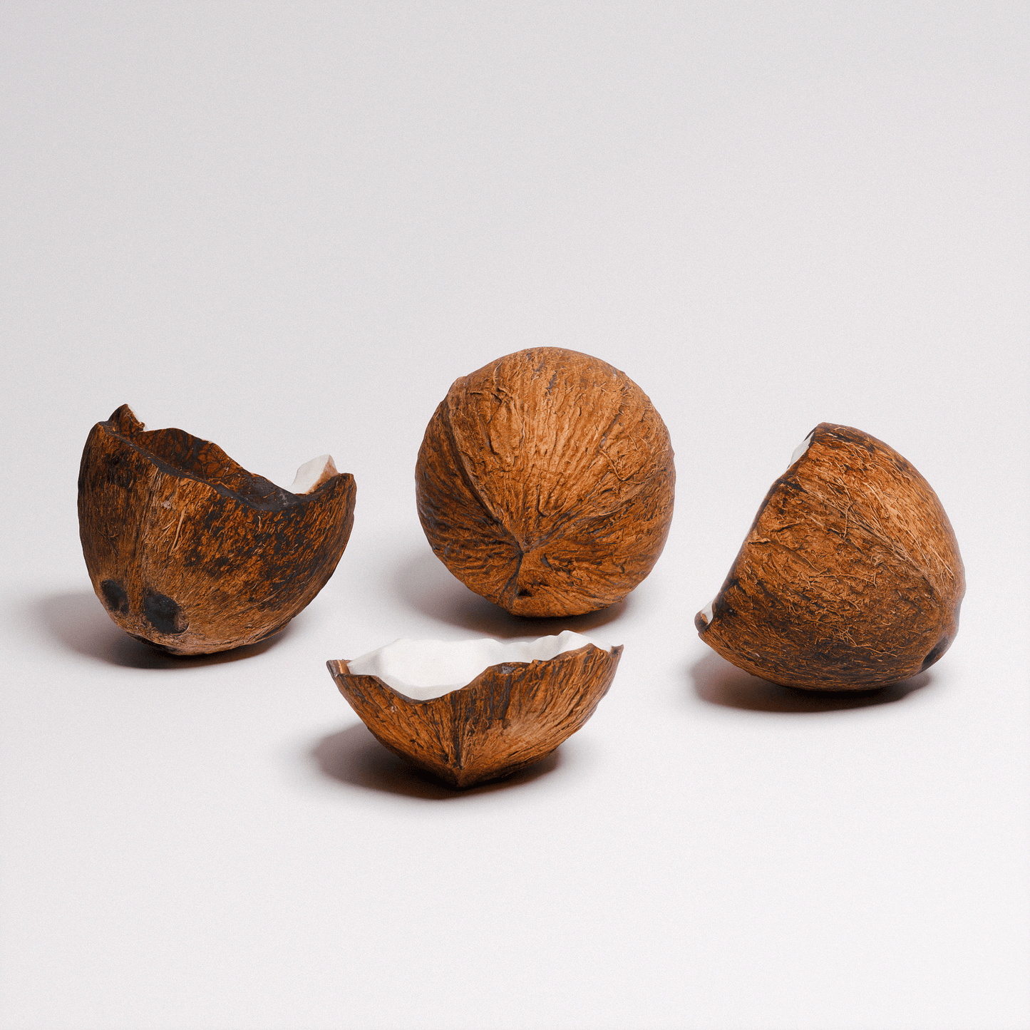 Coconut Set 01
