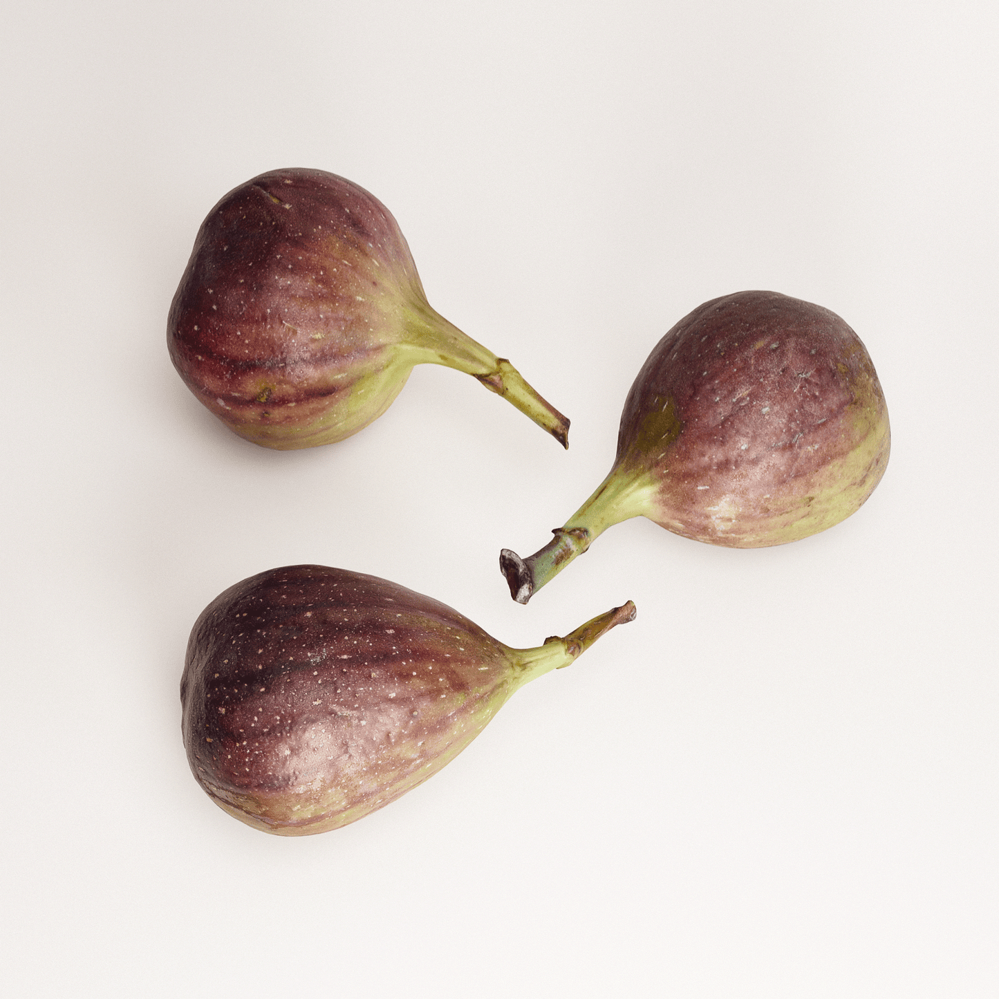 Fig Set 01