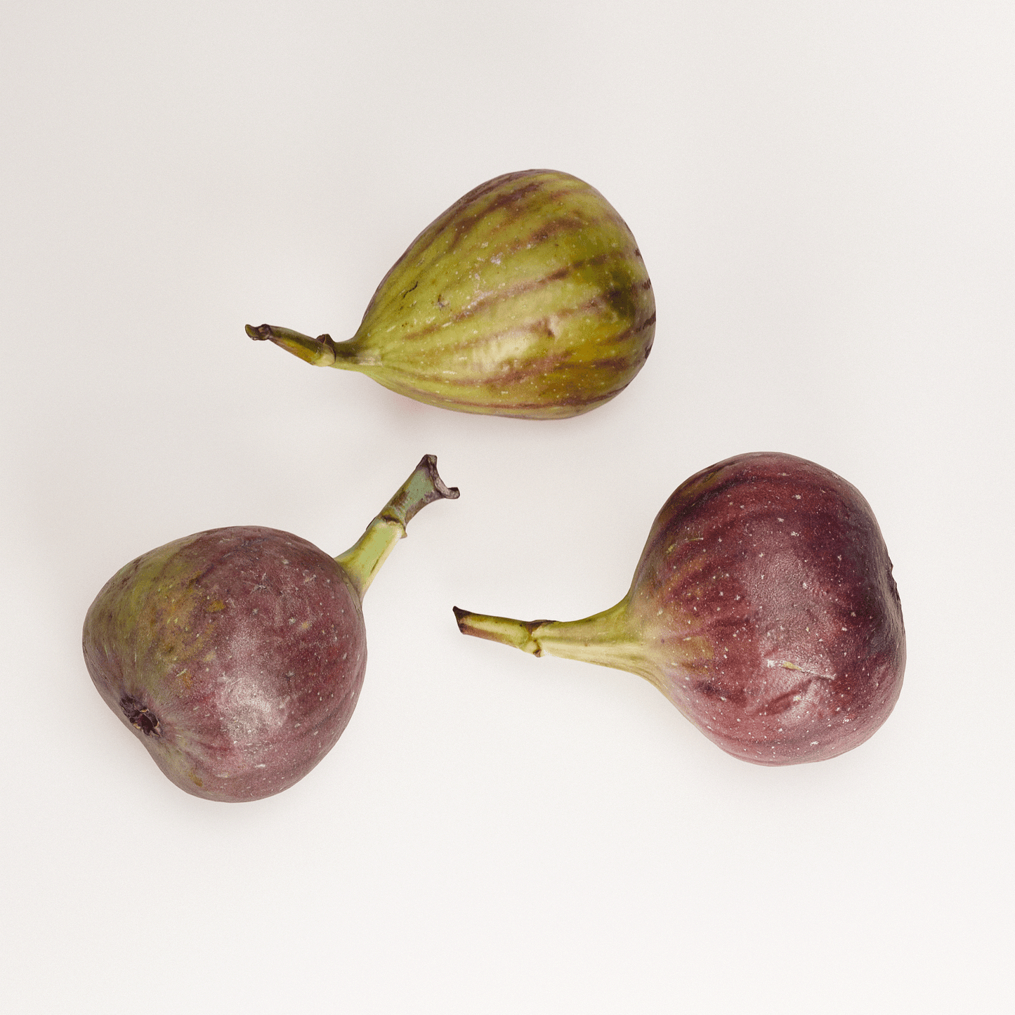 Fig Set 01