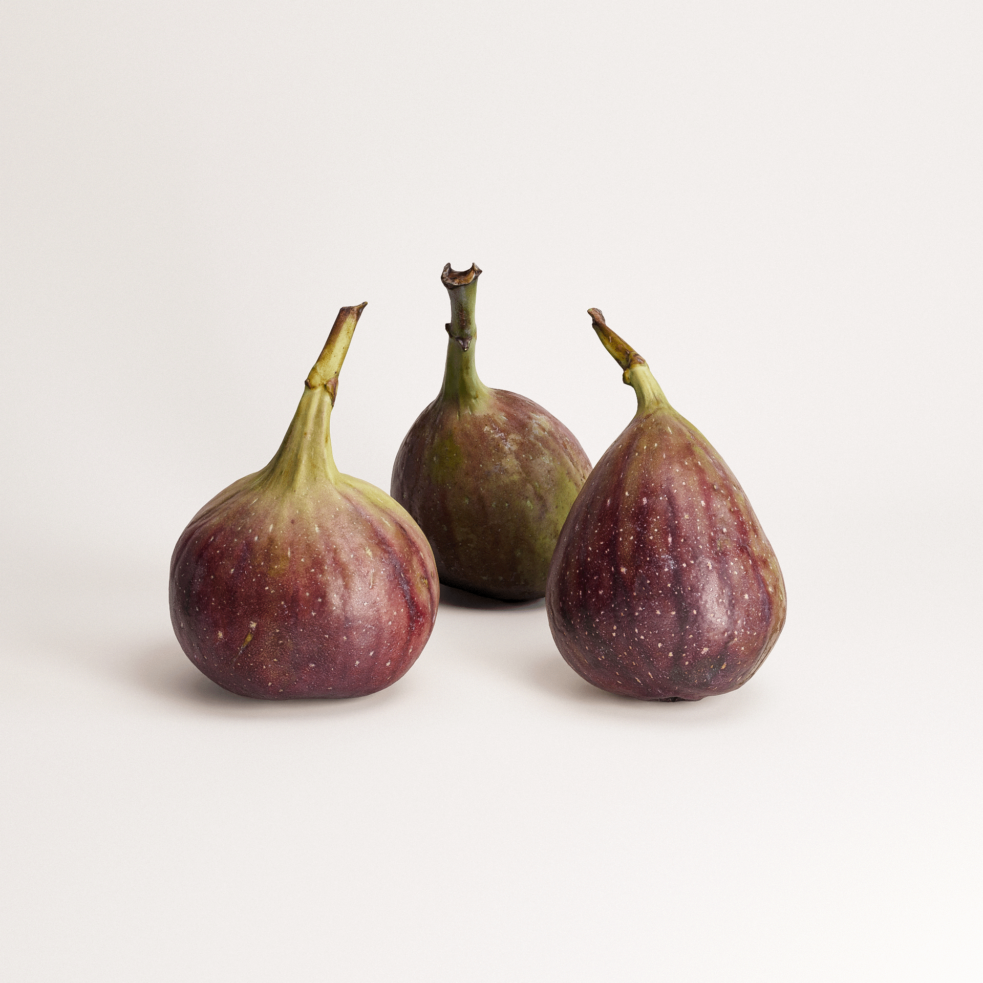 Fig Set 01 3D Model – Wunderform