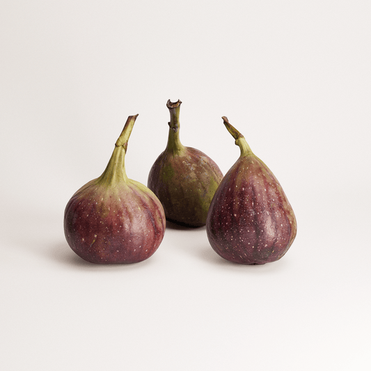 Fig Set 01
