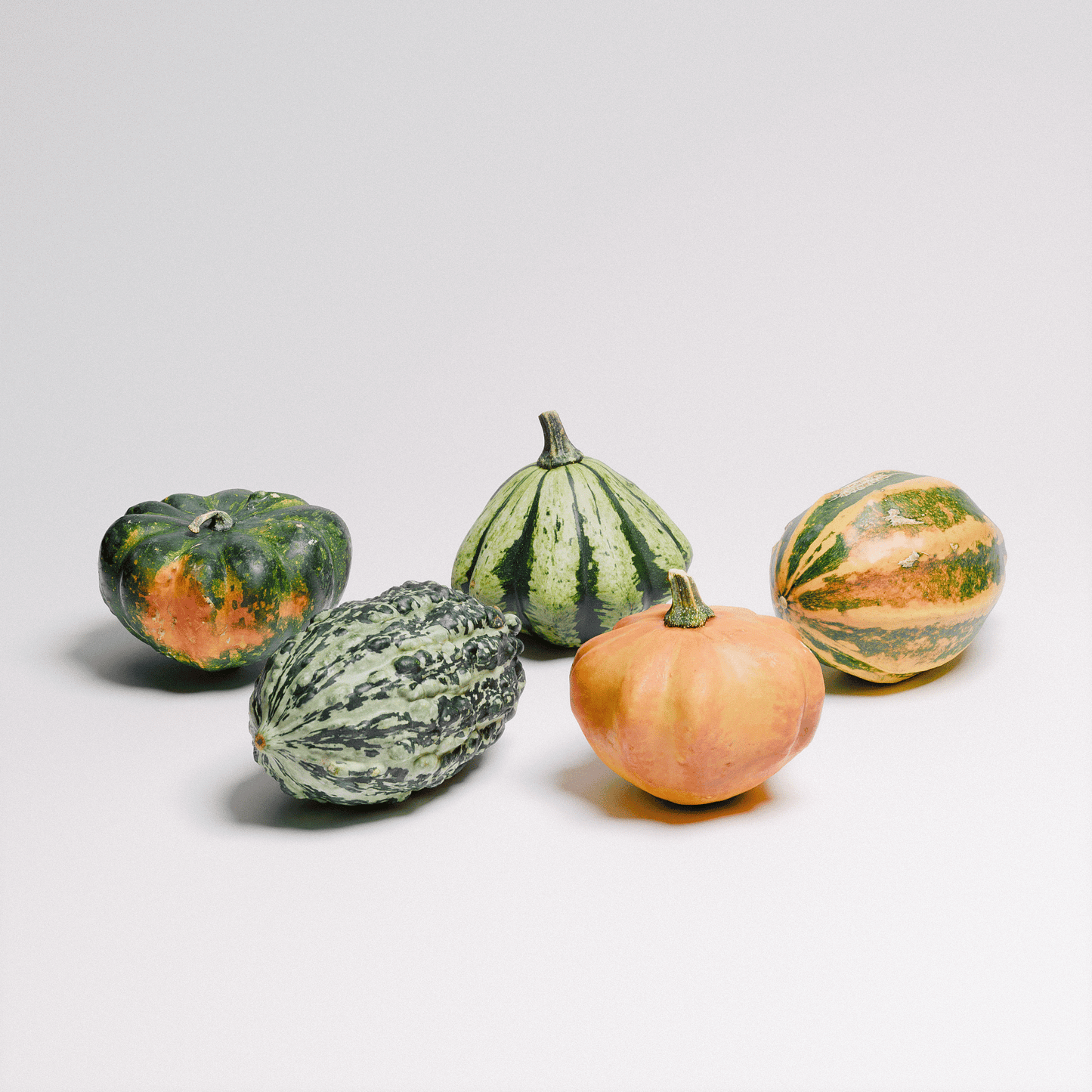 Gourds Set 01