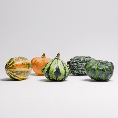 Gourds Set 01