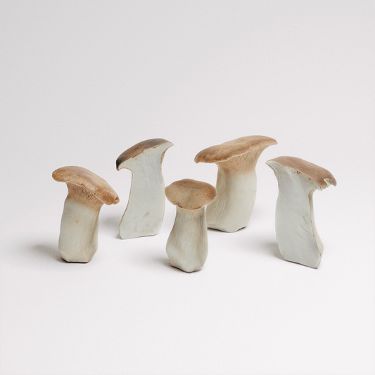 King Oyster Mushroom