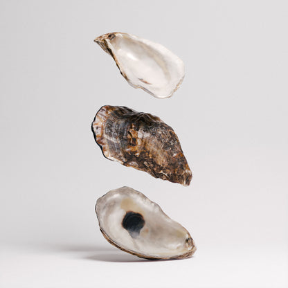 Oyster Shells Set