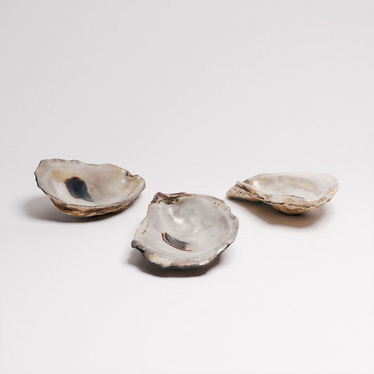 Oyster Shells Set