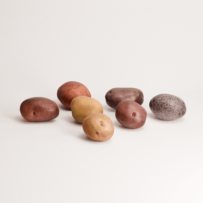 Rainbow Potatoes Set