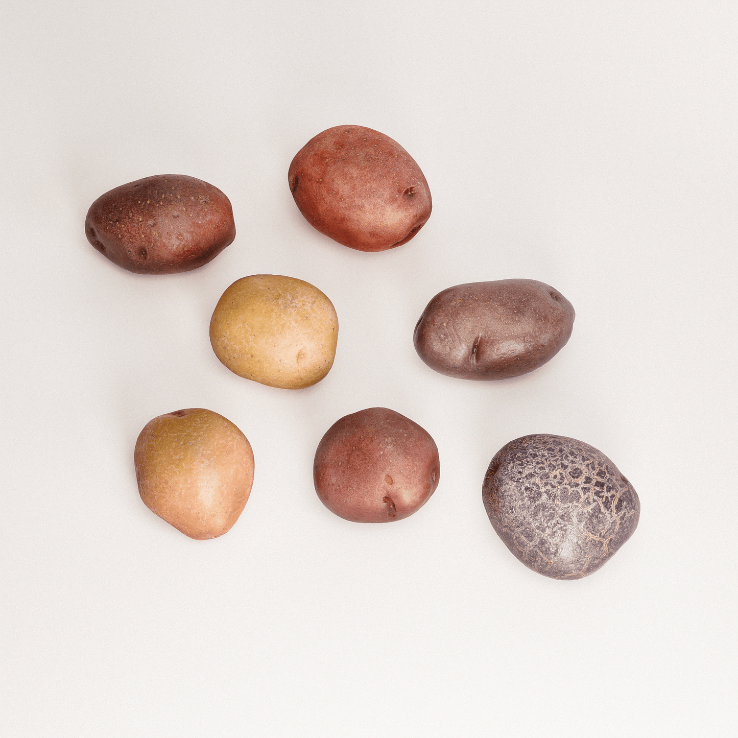 Rainbow Potatoes Set