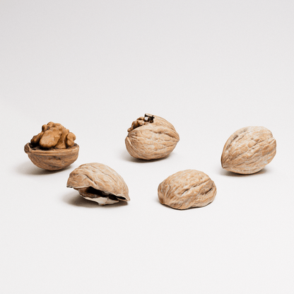 Walnuts Set 02