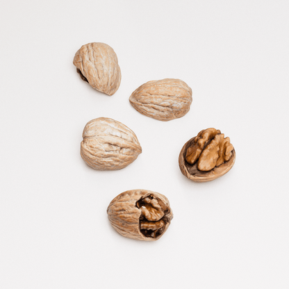 Walnuts Set 02
