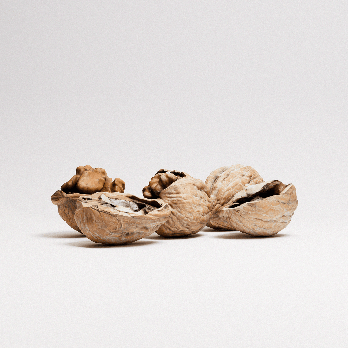 Walnuts Set 02