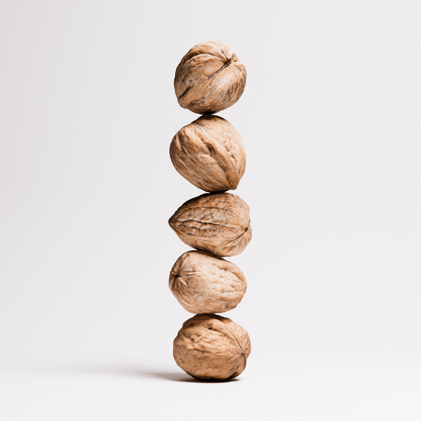 Walnuts Set 01