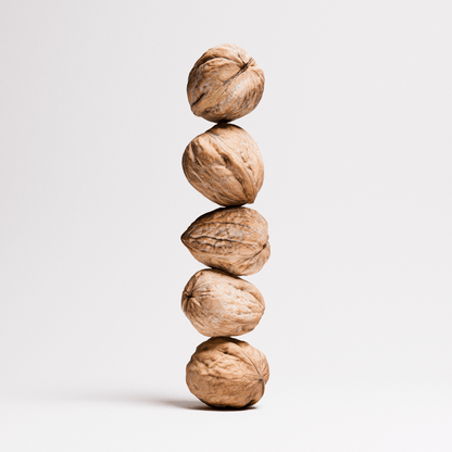 Walnuts Set 01