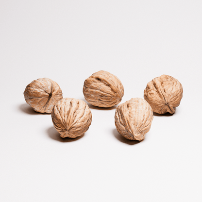 Walnuts Set 01