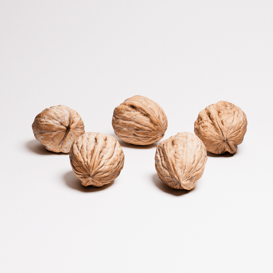 Walnuts Set 01