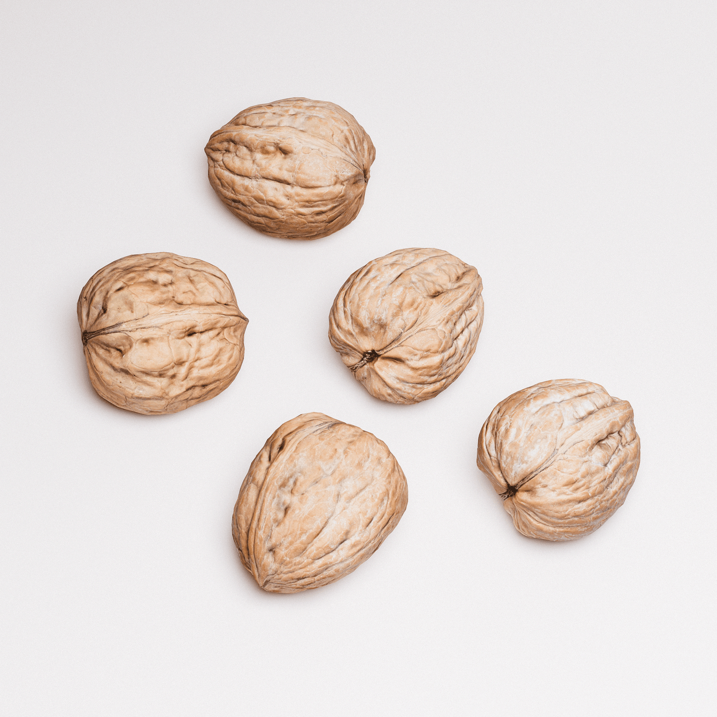 Walnuts Set 01