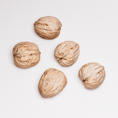 Walnuts Set 01
