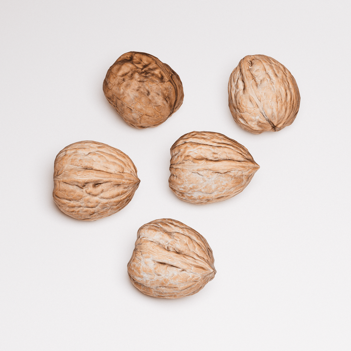 Walnuts Set 01