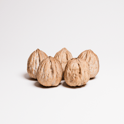 Walnuts Set 01